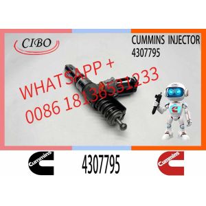 High Quality Diesel Fuel Injector 4307795 4384360 for N14 Qsn14 Engine Injector