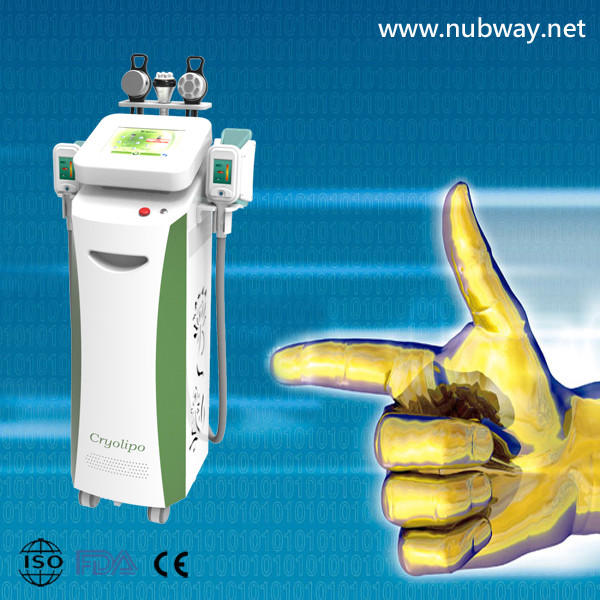 Quality OEM& ODM approved Fat Freezing Machine Cryolipolysis Slimming Machine With cooling System wholesale