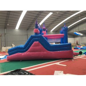Attractive Bounce House Wet Or Dry Combo / High Durability Frozen Blow Up Castle