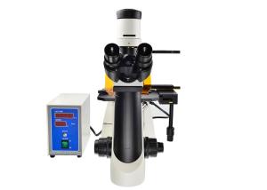 China Phase Contrast UOP Inverted Fluorescence Microscope With B G Filter on sale