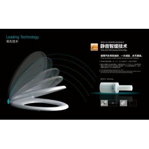 Toilet Seat Cover Soft Closing PP Plastic Different Hinge Available From Xiamen China