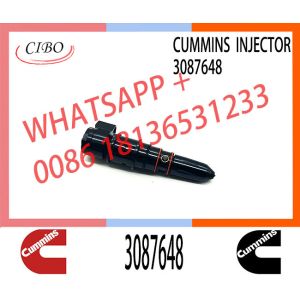 Diesel engine common rail fuel injector 3406604 3087648 3406604 3071497 4914328