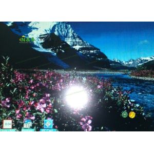 10.4 inch NEC LCD Panel NL6448AC33-30 with 211.2×158.4 mm Active Area