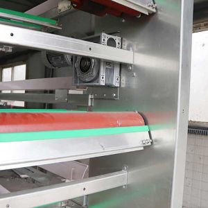 U Shape Steel Automatic Poultry Cage , 3 Phase 50HZ A Frame Layer Cages