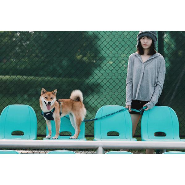 Nylon Hands Free Heavy Duty Dog Walking Belt Retractable Carabiner With Backpack