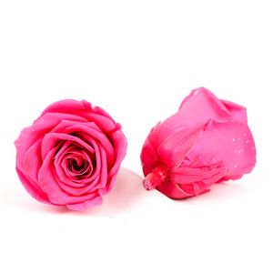 Eco Friendly Diameter 5-6cm No Pollen Real Eternal Roses