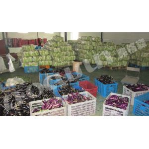 PLC Controlled Industrial Water Chiller for Long-Term Vegetable Preservation and