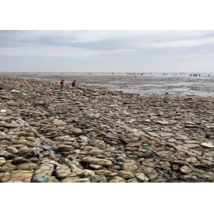 Easy Construct HD Galvanized Gabion Wire Mesh