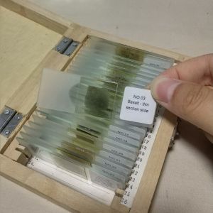 Fixed OEM Professional Prepared Microscope Slides 24 Pcs Of Box Set