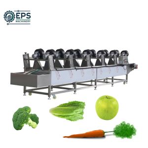 Cheap 1500kg/H Capacity Vegetable Fruit Washing System for Cleaning of Fruits and Vegetables for sale