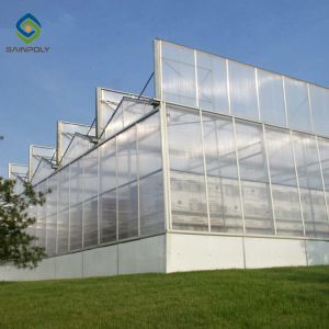 Multi Functional 4m Polycarbonate Film Greenhouse Side Ventilation