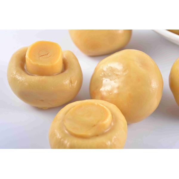 Quality Canned Whole Button Mushrooms / Chinese Canned Mushrooms 36 Months Shelf Life wholesale