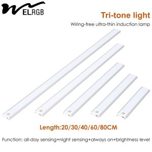 3500K 4100K 6000K Motion Sensor Closet Light Led Wardrobe Lights With Sensor