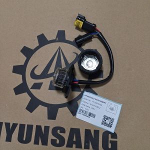 Dial Excavator Engine Parts 21Q4-20812 21Q4-20811 21Q4-20810 For R125LCR-9A