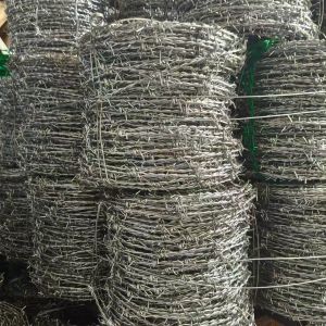 Moderate Stainless Steel Mesh with 1 635 Mesh Count and Mill Edge / Slit Edge