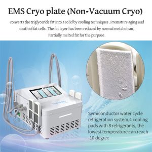 EMS Coolsculpting Cryolipolysis Machine Cryotherapy Cryo Machine For Fat