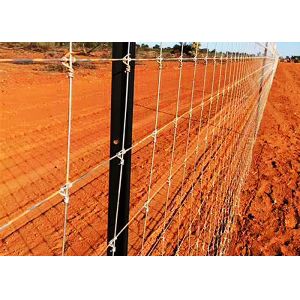Galvanized Grassland Wire Fence Cattle / Sheep / Field / Deer Farm Fence