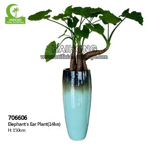 China High Simulation Natural Elephant's Ear Plant With Beautiful Pots on sale