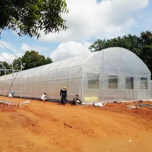 China Wind Resistance Plastic Film Greenhouse with 90% Light Transmittance on sale