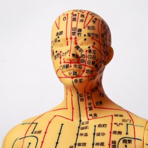Acupuncture Needles Practice Model For Safe And Precise Training