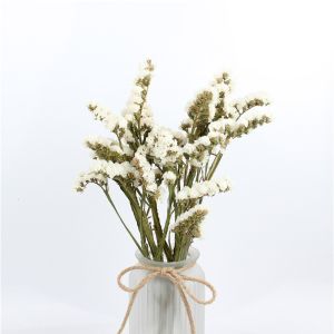 Statice Limonium Beautiful Dried Flowers Beautiful With Long Using Time