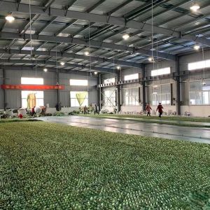 Waterproof Military Camouflage Net Sports Entertainment Anti-Uv Sun Shade