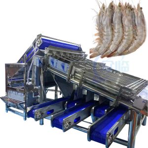 Fully automatic multi-functional fish and shrimp sorting and grading machine