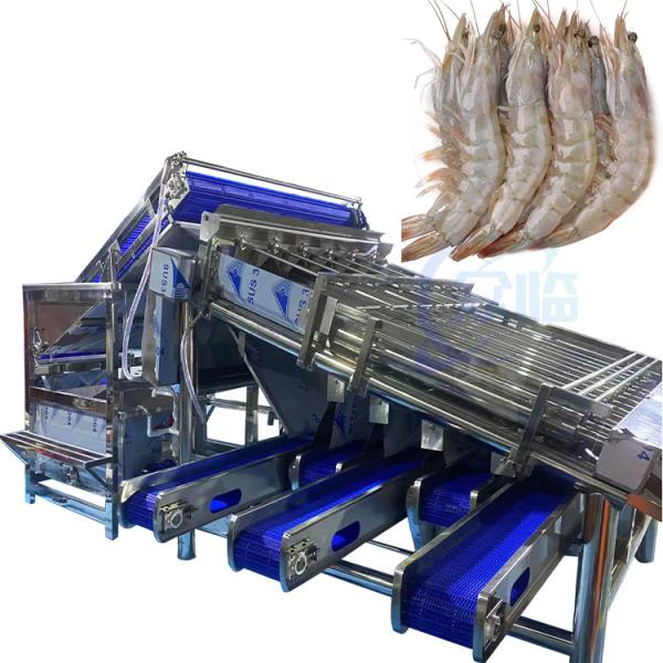 Fully automatic multi-functional fish and shrimp sorting and grading machine