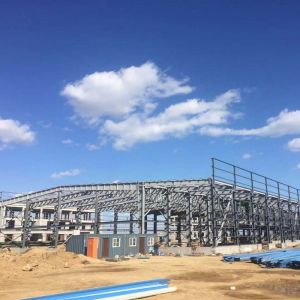 Galvanized Steel Structure Warehouse Building with H-Section Frame