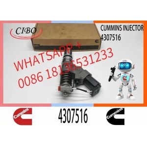 XF Parts QSM ISM QSM11 ISM11 M11 Engine Diesel Fuel Injector 4307516 3095040