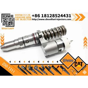 China CAT Engine Part 3512C 3512B Injector 162-8813 249-0746 250-1311 10R-1303 Fuel Injector for Caterpillar Excavator Engine Injector on sale