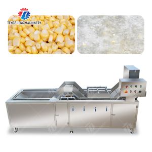 Cheap customized blanching machine Fruit Orange Vegetable Leaves Vegetables Carrots and longitudinal root vegetables Onions Leafy vegetables Cabbage for sale