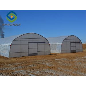 275g/m2 100m Plastic Gutter Single Span Greenhouse