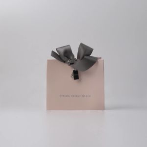Custom Logo Matt Paper Clothing Packaging Gift Paper Bag With Ribbon Handle For