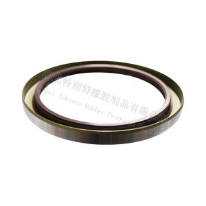 113x140x13mm TC Oil Seal For Delong X3000 NBR Wheel Hub Oil Seal 113*140*13mm