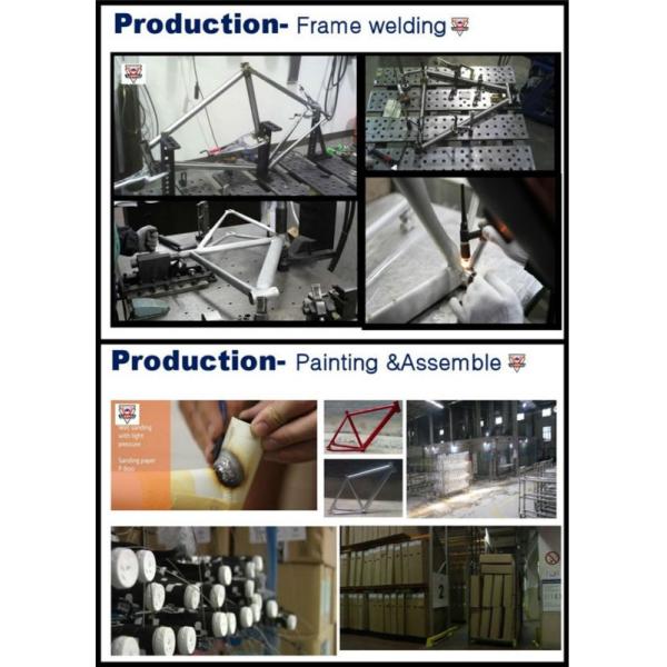 20inch Korean Japanese 6speeds CE OEM Folding Bike with Shimano RS35 Shifter