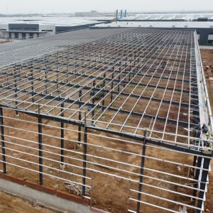 Custom Prefabricated Steel Frame Buildings Hot Dip Galvanized