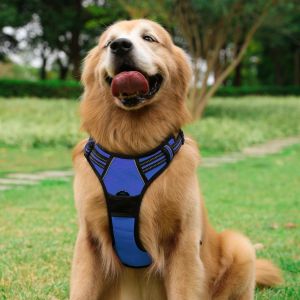 China Oxford Soft Pet Vest Nylon Dog Harness Easy Cleaning With Reflective Strap on sale