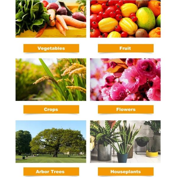 Liquid Organic Soluble Fertilizer Agricultural For Yield Increase