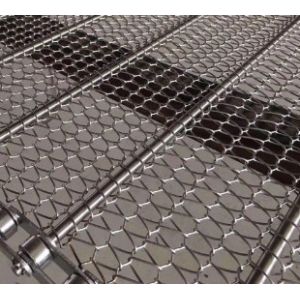 Plain Weave Spiral Wire Mesh SS601 Chain Conveyor