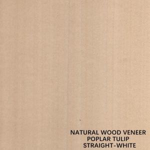 China Straight White Color American Natural Poplar Wood Veneer For Fancy Plywood / Door on sale