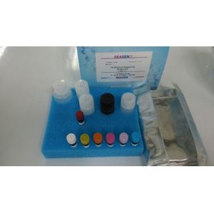 Cheap Tetrodotoxin TTX ELISA Test Kit Powerful Neurotoxin For Fish Sampling for sale