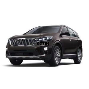 Car Light Daytime Running Light Fog Lamp Used For Kia Sorento (ASIA) 2019-2020