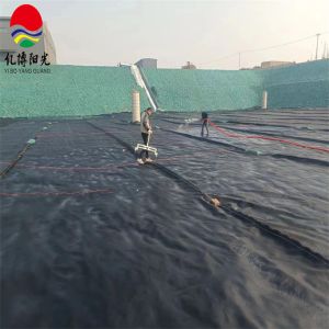 HDPE Geomembrane Liner Plastic Sheet for Fish Farming Water Tank Environmentally