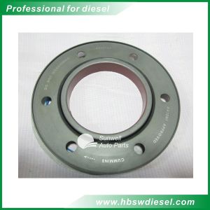 Cummins M11 engine rear oil seal 4923644, 4089542, 4023018