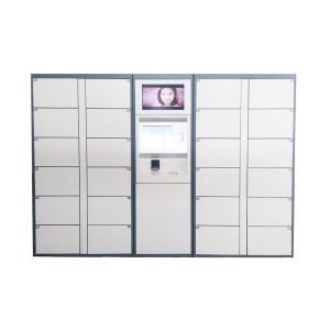 LCD Touch Screen Electric Parcel Delivery Lockers Package Post Locker With