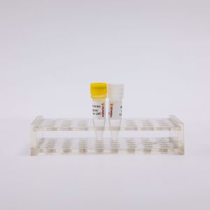 50 Rxn 2X Reverse Transcriptase PCR Reagents One Step Master Mix P1001