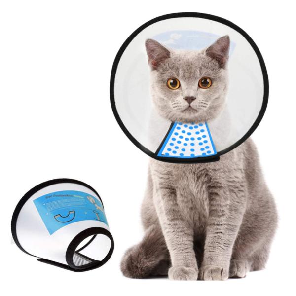 Quality Adjustable Pet Training Collars White Comfy Dog Cat Cone Collar wholesale