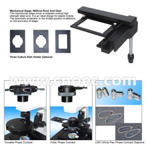 Infinity Objective Inverted Optical Microscope Phase Contrast Microscope Bright