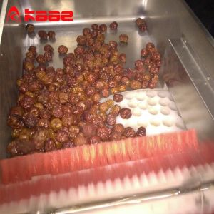 Deep Dates Processing Machine 1500KG Vacuum Concentrate Jujube Processing